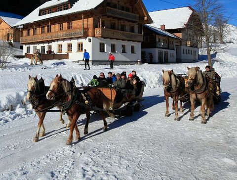 Pferdeschlittenfahrt im Winter in Rohrmoos