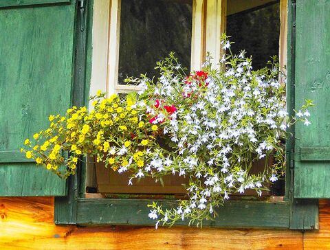 Blumenstraß am Fenster einer Alm Hütte